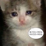 [19] 중1이 3학년 <b>번호</b>따는거 어떻게 생각해