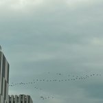 [NCT칠프] 아 어<b>이업네</b>