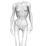 키 170이라 치면 몇 <b>kg</b>쯤 될 것 같음?