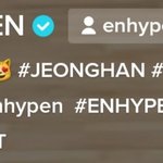 <b>틱톡</b> 이름도 우리 냥가든 납시오 야