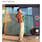 세븐틴 엔하이픈 친목