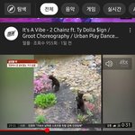 [드루와] <b>우하</b>하하하 곰돌이새키ㅈㄴ귀엽다