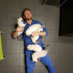 <b>수의사</b>가 촬영한 사랑스러운 사진