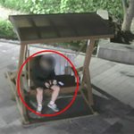 <b>cctv</b>는 항상 당신을 주시하고있다