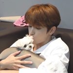 [더보이즈] <b>포토북</b> 언제 옴?