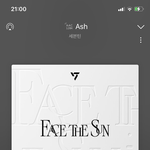 [세븐틴] 내일 있을