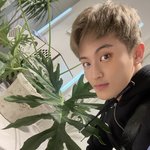 [NCT드림] <b>마크</b> 왜케 예쁘냐....