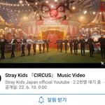 [스키즈] 하아하아 서커스 뮤비공개까지 1시간 40분!