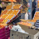 <b>브로커</b> 재미없음