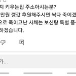 [반려동물] 개들 정말 이렇게 키울거야?