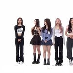 엔믹스vs케플러 다리 짧은거 ㅈㄴ