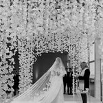 니콜라 펠츠가 풀어준 3일 간의 결혼식 사진2