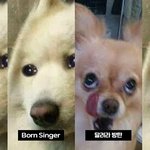 [군대] 이거 넘 웃겨서ㅋㅋㅋ
