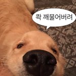 [댓글부탁해] 동네 <b>야시장</b> 재미있음??