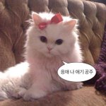 [댓글부탁해] 반에서 꼭 있는 애들 특