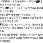 개구리소년  전자공고