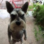 솔직히 끼없는 애들이 아이돌해서 잘되는 거 ㅈㄴ <b>배아픔</b>