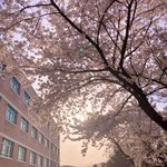 내 친구 전남친 조카 멋있는 듯ㄹㅇ