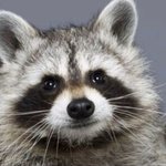 <b>ebs</b> 생명 풀다가 ㄹㅈㄷ 화들짝 놀람