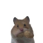 [댓글부탁해] 알바하는데 신입땜 넘 힘드러..