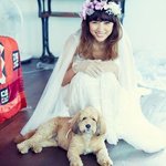 유기견 키우는 연예인들