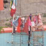 [방탈죄송] 동네에 미친사람들이있어요. 하루하루 무섭습니다