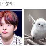 [펜타곤] <b>홍석</b>이 별명 중에 궁금한거 있어