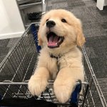 항상 시험 끝나면 애들이랑 <b>녹초</b>될정도로 놀고