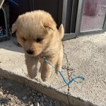 우리집 <b>맨</b>윗층인데 <b>위</b>에서 쿵쿵쿵 뛰어다니는 소리남