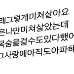 방탄 <b>덕질</b>은 진짜