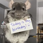 얘들아 나오늘 생일인데 축하좀..ㅋㅋ