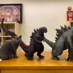 위장의 <b>달인</b> 고양이