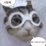 [추반] 아니 이게 내 잘못이야? 진짜 궁금해서 그래....