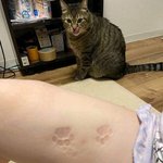 [댓글부탁해] 이거 <b>쌍방</b>이라고 생각해도 됨?