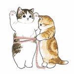 <b>개미</b>는
