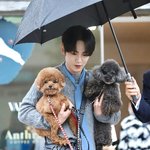 <b>기범</b>이네 꼼데가르송 상냥한 강아지 미솤ㅋㅋㅋㅋㅋㅋㅋㅋ