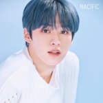 [스키즈] 네시픽이 팬들 <b>니즈</b> 잘 아는거같움