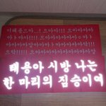 [NCT칠프] 태용아시방나는한마리에<b>짐승</b>이여 그짤