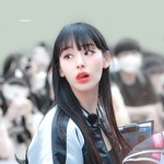 <b>노제</b> ㅈㄴ 피곤하겠다