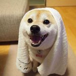 <b>개운</b>하개