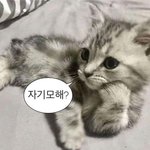 [댓글부탁해] 중3인데 밴드부 <b>보컬</b> 해볼까..??
