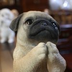 [NCT칠프] ‼️뮤빗하는법 마지막 독려‼️