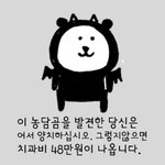 아니 나 <b>여태</b>까지 브라가 장식인 줄 알았거든
