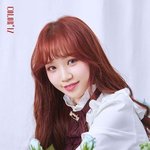 김채원 <b>역변</b>