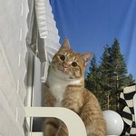 [19] 너흰 <b>신체</b> 장점있음?