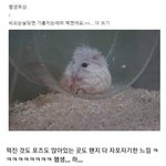 꼽주는 애들 <b>중딩때</b>가 제일 심하지 않음?
