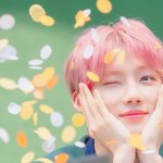 [더보이즈] <b>물만두</b> 이뻐해주자