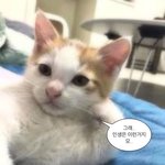 친구가 사과문자를 <b>안</b>읽는다 <b>맘</b>이 초초하다