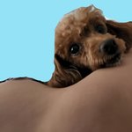 <b>팔베개</b> 늘 해줄게요 오래오래 살아야댐