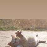 남자들은 <b>썸녀</b>나 여친이